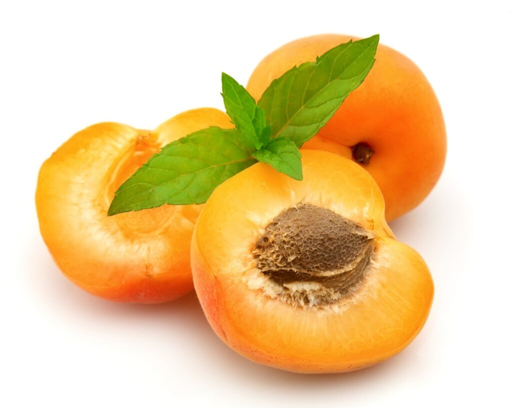 Sweet apricots fruits